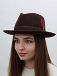 Шляпа STETSON арт. 2118101 FEDORA WOOLFELT (коричневый)